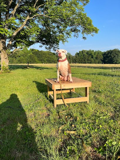 Thackston Farms Dog Training LLC