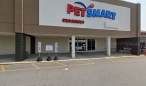 PetSmart Dog Training