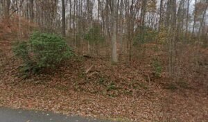 Laurel Knob Kennels