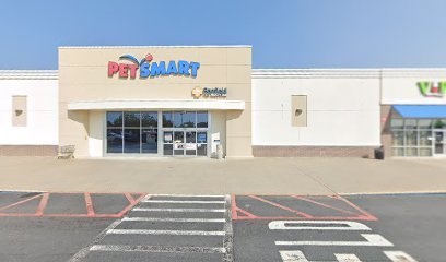 PetSmart Dog Training