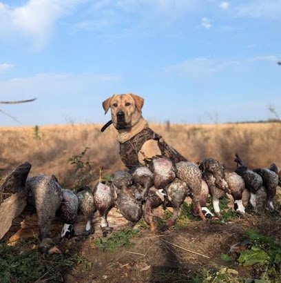 Goeman Gun Dogs