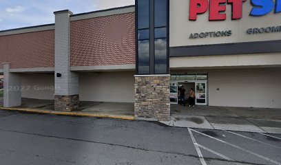 PetSmart Dog Training