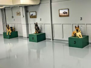 Randy Hare‚Äôs Alpha Canine Training Center, Inc.