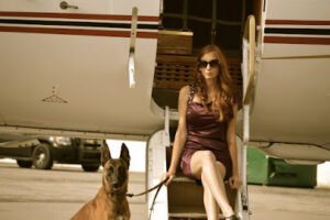 Nashville K-9