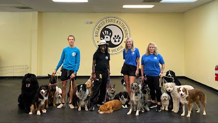 Balanced Paws K9 Training