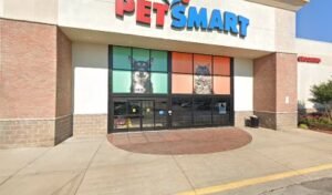 PetSmart Dog Training