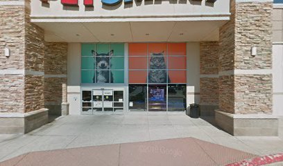 PetSmart Dog Training