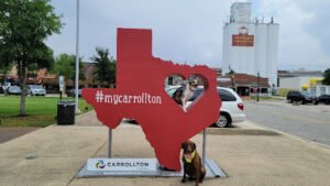 Tip Top K9 Carrollton Dog Training