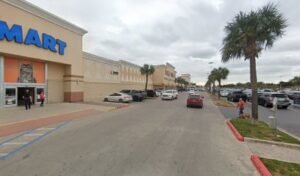 PetSmart Dog Training