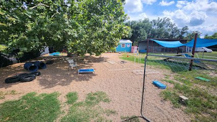South Austin Dog Center