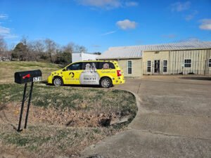 Tip Top K9 Lewisville Dog Training