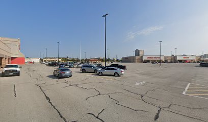 PetSmart Dog Training