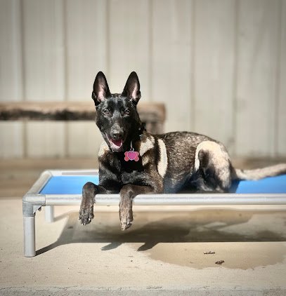 Ellis County Canine Connection, LLC
