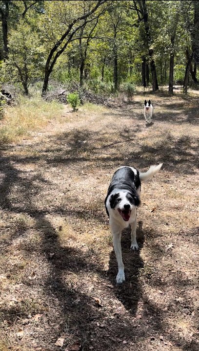 Austin Agility