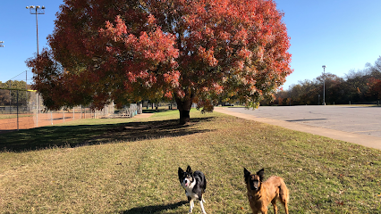 My EPIC Dog – Human and Dog Training