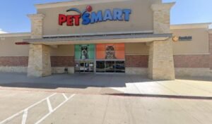 PetSmart Dog Training