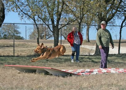 Bill Whatley’s Dog Training
