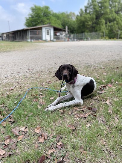 Ryckman Kennels
