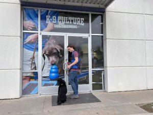 K-9 Culture Dog Training / Boarding / Grooming / Daycare