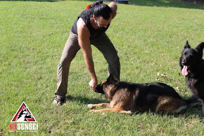 K9 Sensei Dog Training & Boarding