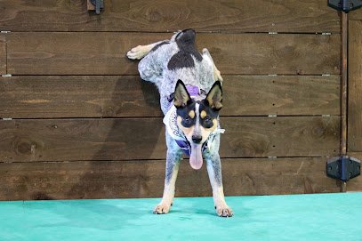 Lucky Dog Training Center