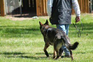 Circle K9