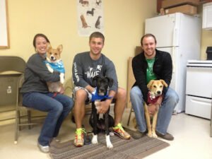 Puppy Love Dog Training