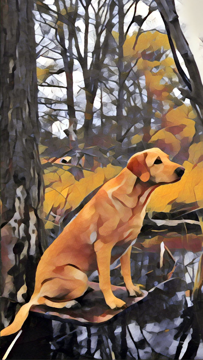 Muddy Oak Retrievers