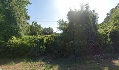 Destination Dog Ranch