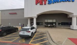 PetSmart Dog Training