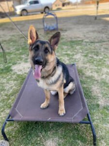 Kilo and Frei K-9, LLC