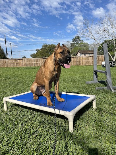 Unstoppable K9s