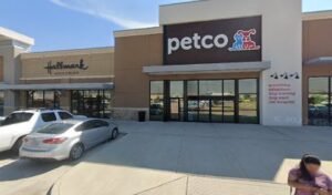 Petco Dog Training