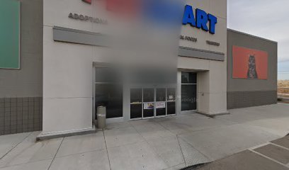 PetSmart Dog Training