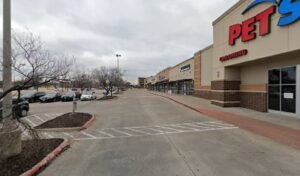 PetSmart Dog Training
