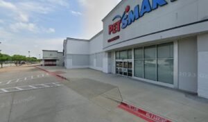 PetSmart Dog Training