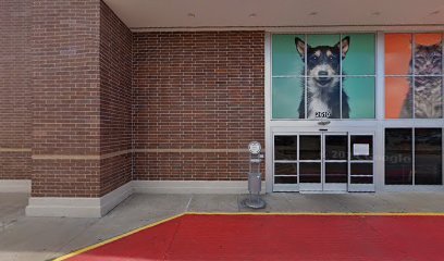PetSmart Dog Training
