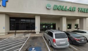 PetSmart Dog Training