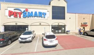 PetSmart Dog Training