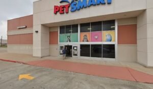 PetSmart Dog Training