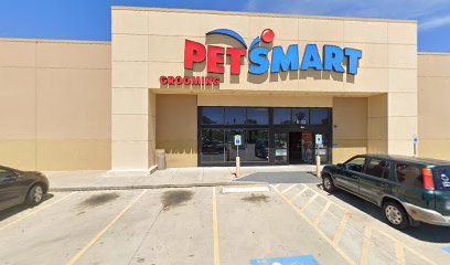 PetSmart Dog Training