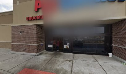 PetSmart Dog Training