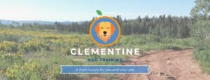Clementine Dog Training