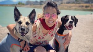 Be the Boss Dog Training
