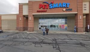 PetSmart Dog Training