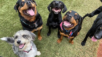 Ruff Pup Dog Training, Grooming and Retail