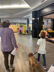 Dog Training Elite Franchise