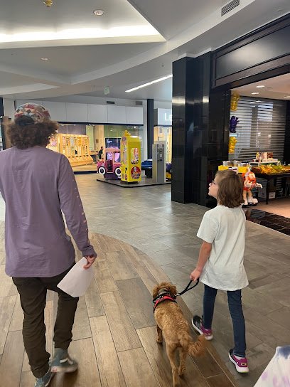 Dog Training Elite Franchise