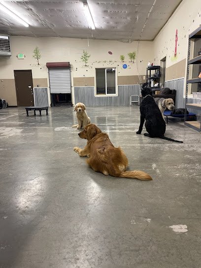 Tip Top K9 Ogden Dog Training