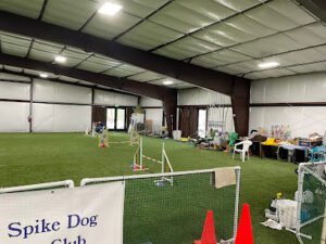 Golden Spike Dog Obedience Club